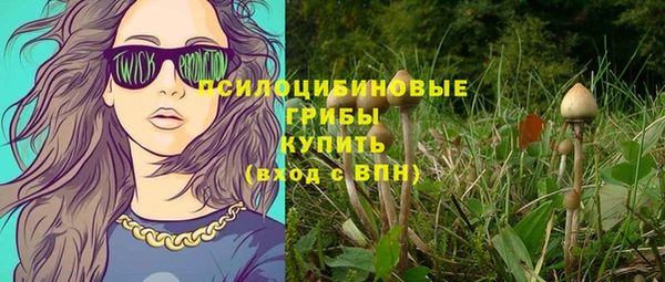 крисы Аша