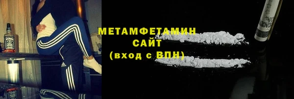 шишки Анива