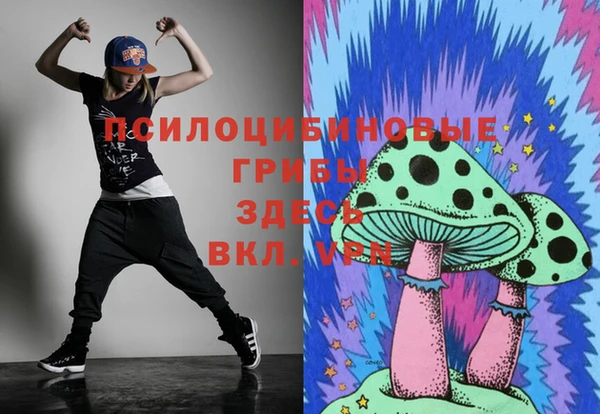 шишки Анива