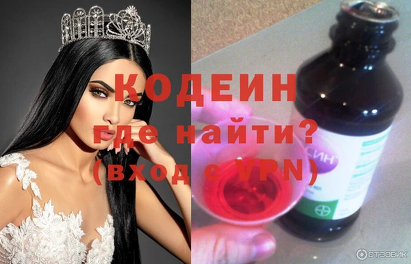 шишки Анива