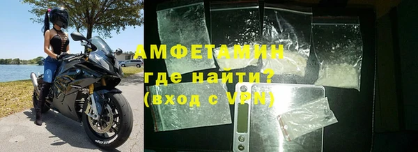 прущие грибы Дмитровск