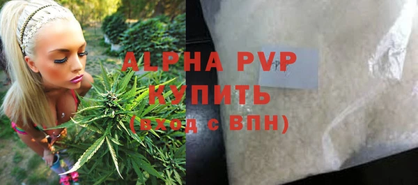 шишки Анива
